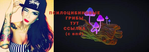 прущие крисы Арсеньев