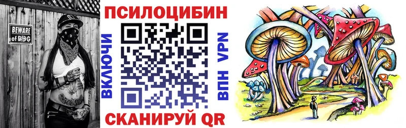 OMG вход  Новый Оскол  Галлюциногенные грибы прущие грибы 